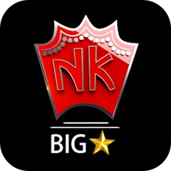 NK Bigstar logo